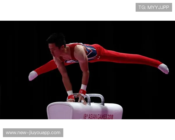 体操鞍马选手全程稳定无明显瑕疵